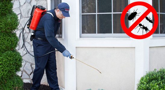 Ekinözü Kene İlaçlama böcek ilaçlama ve haşere kontrolü — ilaclama-tr.com